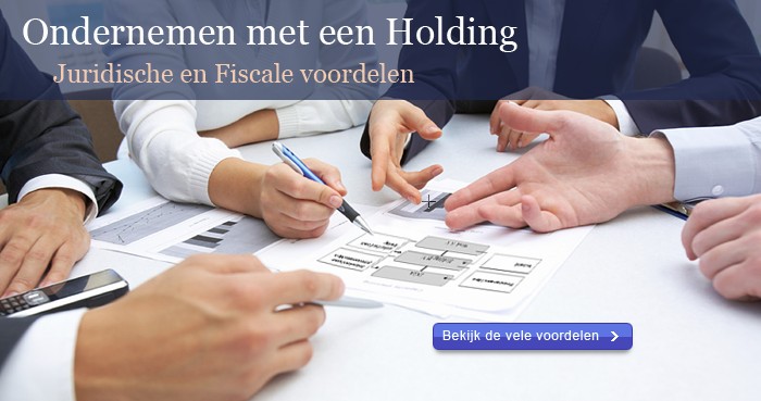 Holding en fiscale eenheid