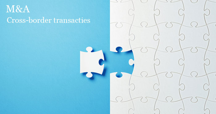 Cross border tax expertise